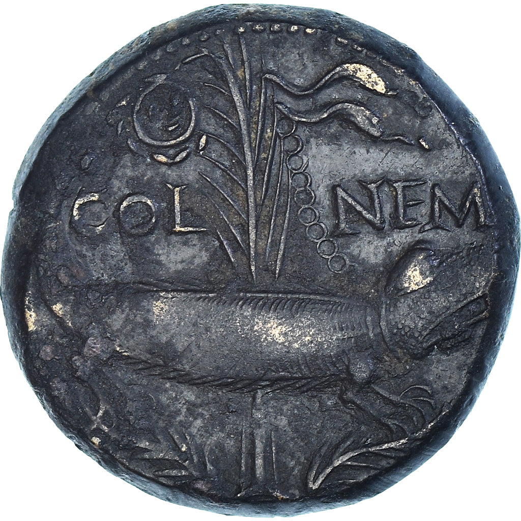 Monnaie, Nemausus, Augustus & Agrippa, As, 10-14 AD, Nîmes, TTB, Bronze