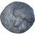 Moneta, Zeugitana, Æ, 300-264 BC, Carthage, VF(30-35), Brązowy