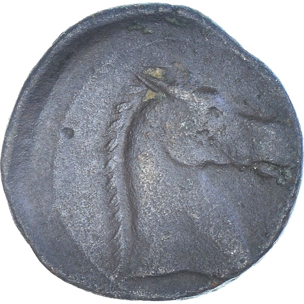 Monnaie, Zeugitana, Æ Unit, 300-264 BC, Carthage, TTB, Bronze, SNG-Cop:149