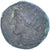 Moneta, Zeugitana, Æ Unit, 300-264 BC, Carthage, VF(30-35), Brązowy