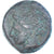 Monnaie, Zeugitana, Æ Unit, 300-264 BC, Carthage, TTB+, Bronze, SNG-Cop:109
