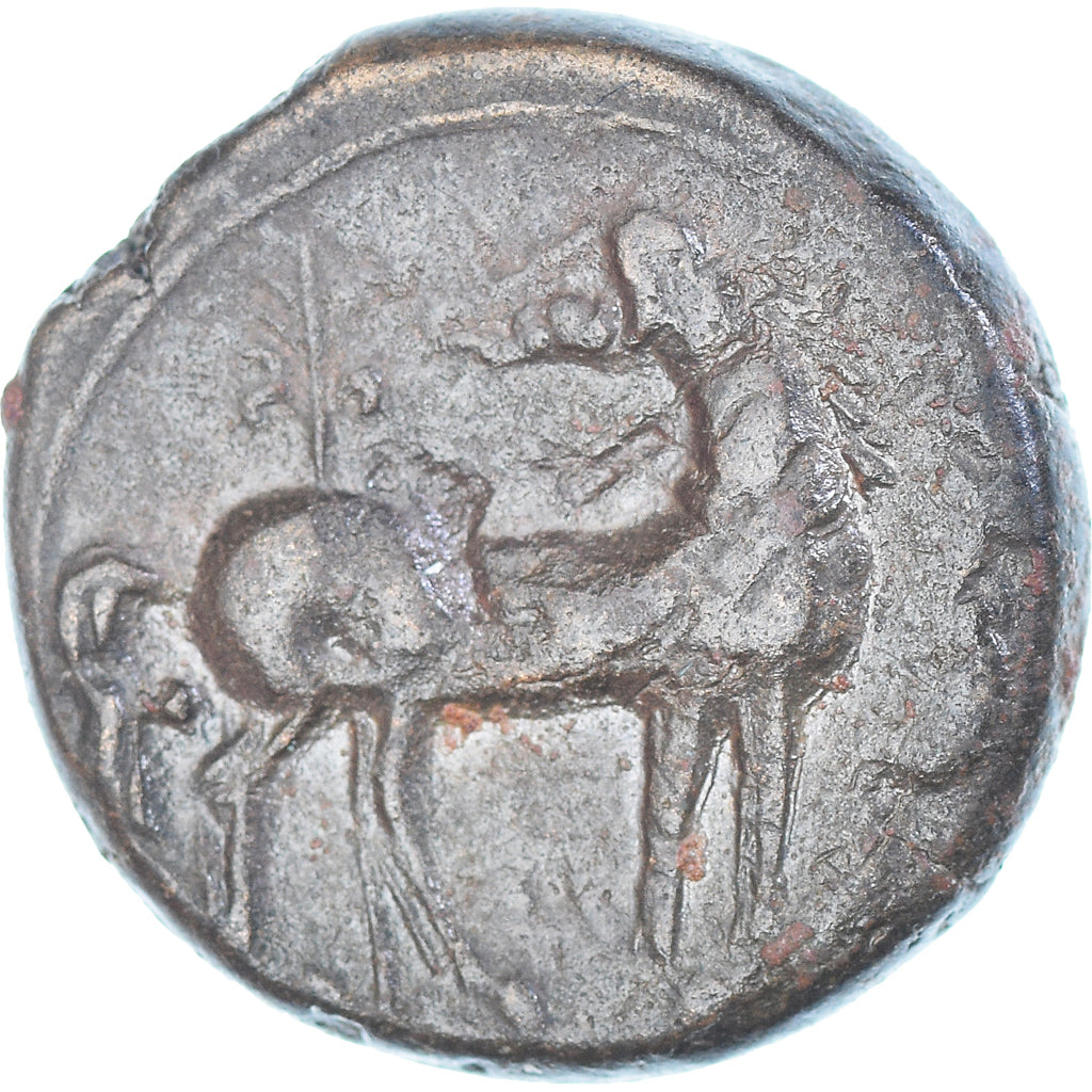 Coin, Zeugitana, Æ Unit, ca. 251-201 BC, Carthage, AU(50-53), Bronze