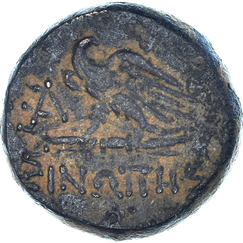 Munten, Paflagonië, time of Mithradates VI, Æ, 105-85 BC, Sinope, ZF, Bronzen