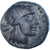 Moeda, Jónia, Æ, 4th-3rd century BC, Miletos, EF(40-45), Bronze