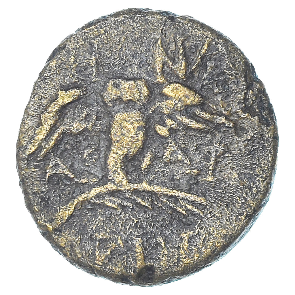 Coin, Mysia, Æ, 200-133 BC, Pergamon, VF(30-35), Bronze