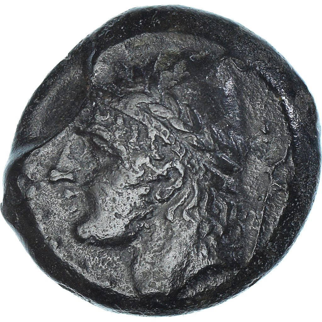 Coin, Samnium, Æ, ca. 263-240 BC, Aesernia, AU(50-53), Bronze, HN Italy:430