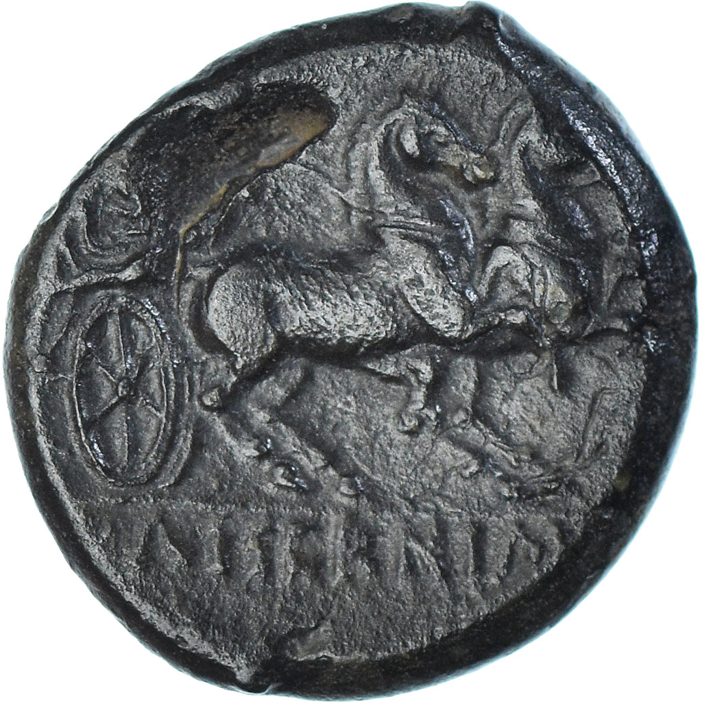 Coin, Samnium, Æ, ca. 263-240 BC, Aesernia, AU(50-53), Bronze, HN Italy:430