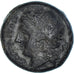 Coin, Campania, Æ, ca. 275-250 BC, Neapolis, VF(30-35), Bronze, SNG-Cop:518-9