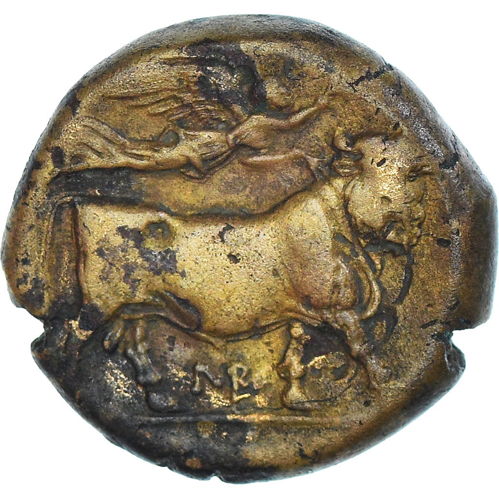 Coin, Campania, Æ, ca. 275-250 BC, Neapolis, EF(40-45), Bronze, SNG-Cop:505