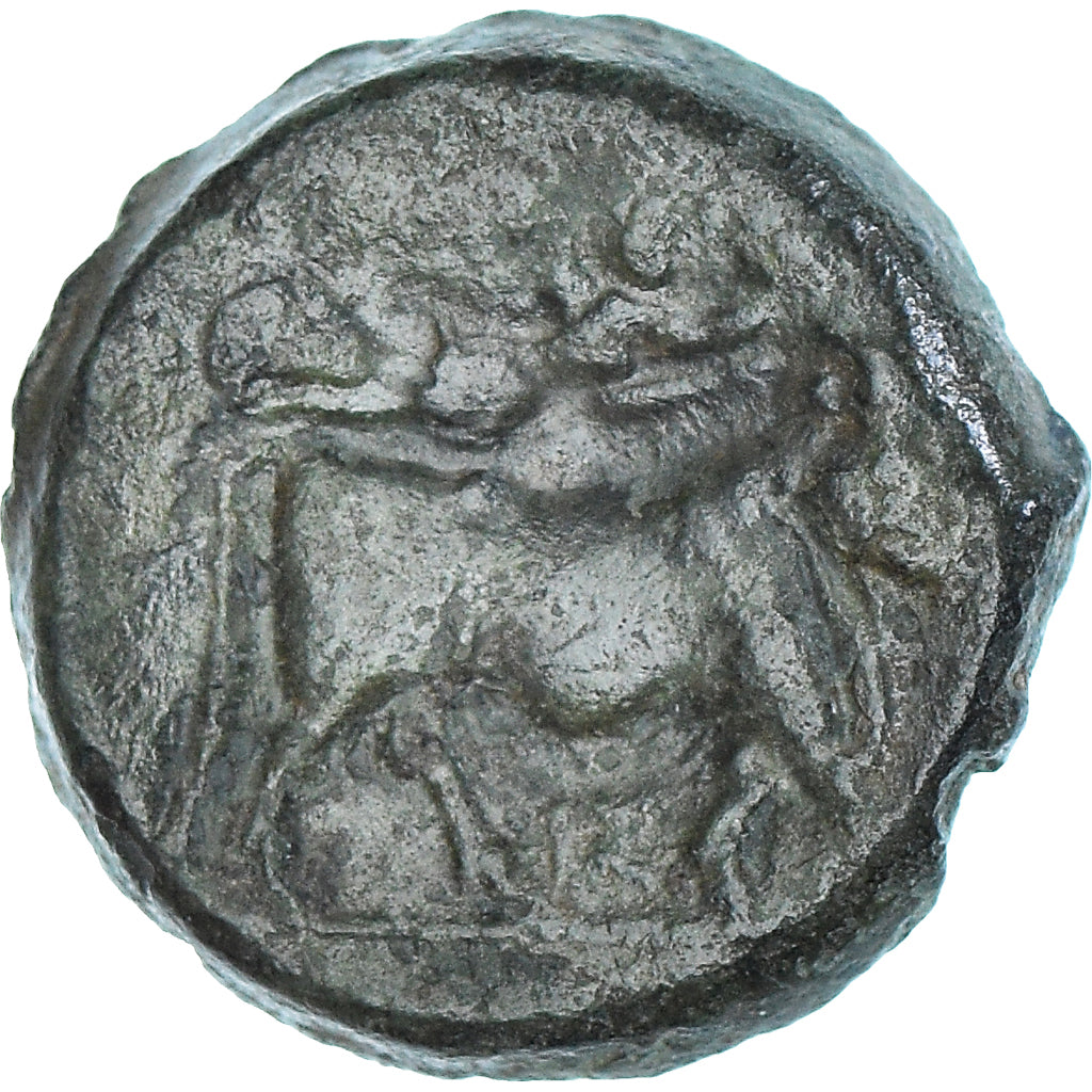 Münze, Campania, Æ, ca. 275-250 BC, Neapolis, SS, Bronze, HGC:1-474