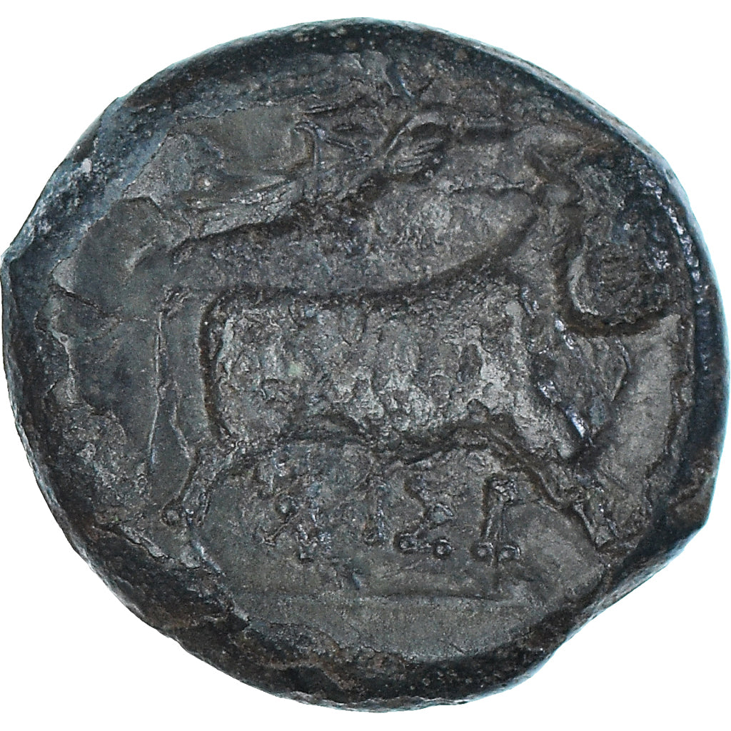 Coin, Campania, Æ, ca. 275-250 BC, Neapolis, VF(30-35), Bronze, HGC:1-474