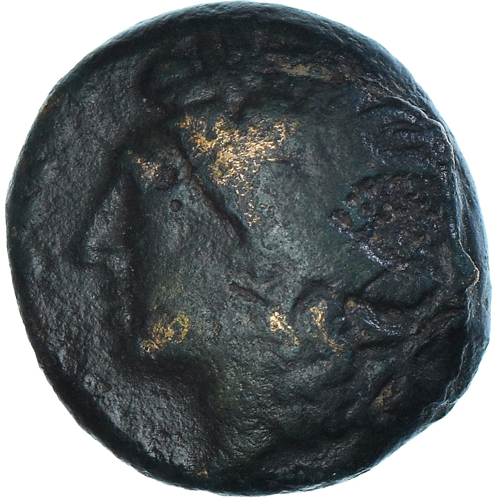 Münze, Campania, Æ, ca. 250-225 BC, Neapolis, S+, Bronze, HGC:1-475