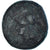 Münze, Campania, Æ, ca. 265-240 BC, Suessa Aurunca, S+, Bronze, HGC:1-510