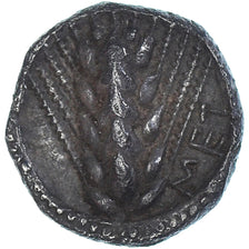 Coin, Lucania, Triobol, ca. 470-440 BC, Metapontion, AU(50-53), Silver, HN