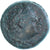 Moneda, Lucania, Æ, ca. 300-250 BC, Metapontion, BC+, Bronce, HN Italy:1678