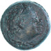 Monnaie, Lucanie, Æ, ca. 300-250 BC, Metapontion, TB+, Bronze, HN Italy:1678