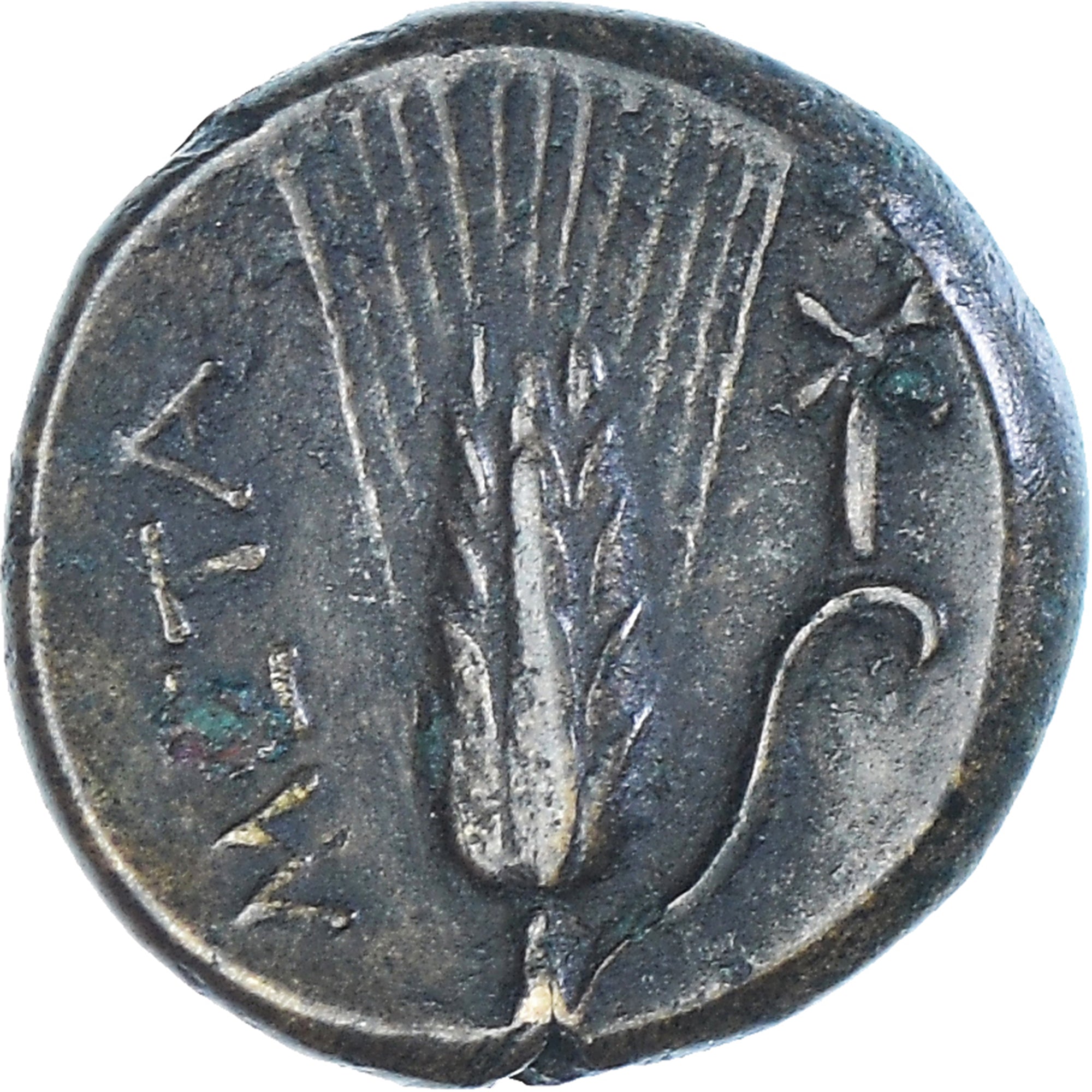 Moneta, Lucania, Æ, ca. 300-250 BC, Metapontion, BB+, Bronzo, HN Italy:1683