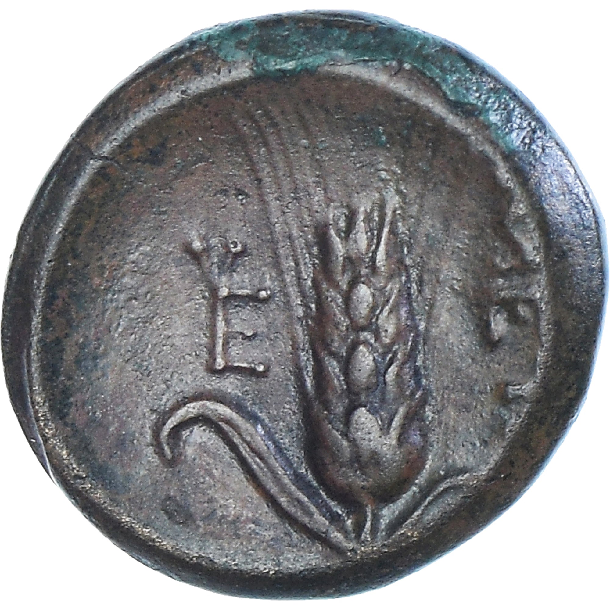 Moeda, Lucânia, Æ, ca. 300-250 BC, Metapontion, EF(40-45), Bronze, HN