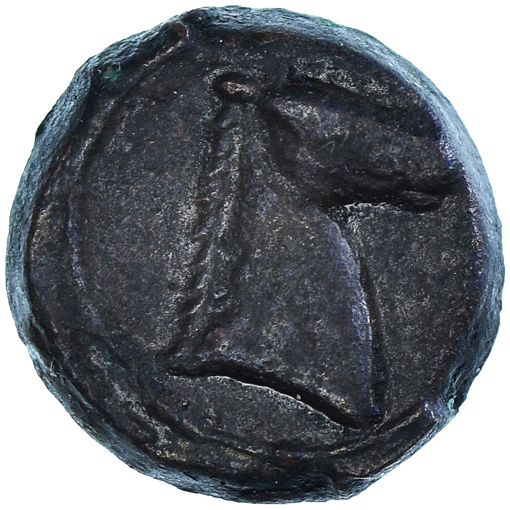 Coin, Zeugitana, Æ Unit, 4th-3rd century BC, Carthage, VF(30-35), Bronze