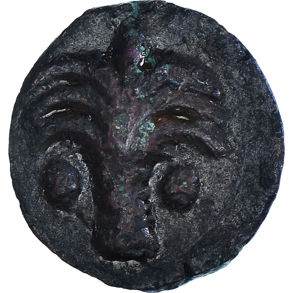 Coin, Zeugitana, Æ Unit, 4th-3rd century BC, Carthage, VF(30-35), Bronze