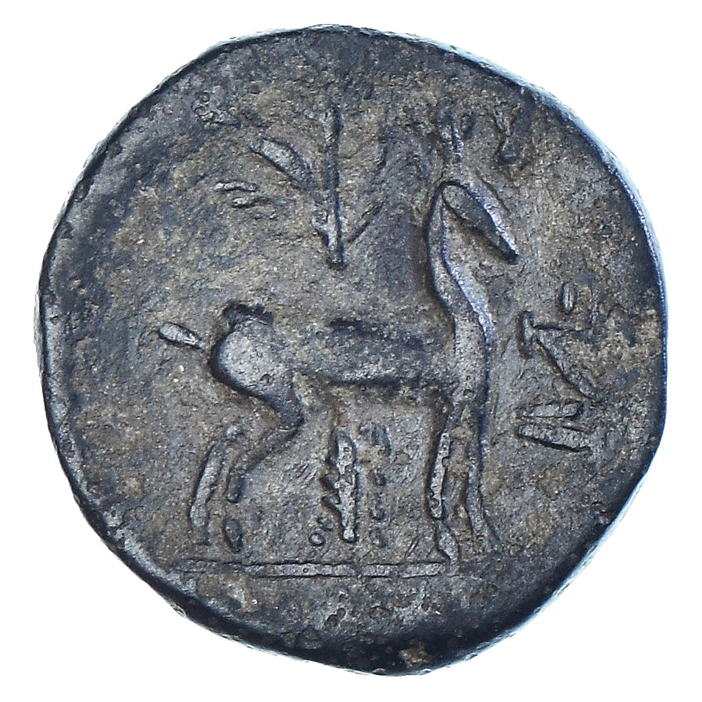 Moneta, Ionia, Æ, 133-48 BC, Ephesos, BB, Bronzo, SNG-Cop:301