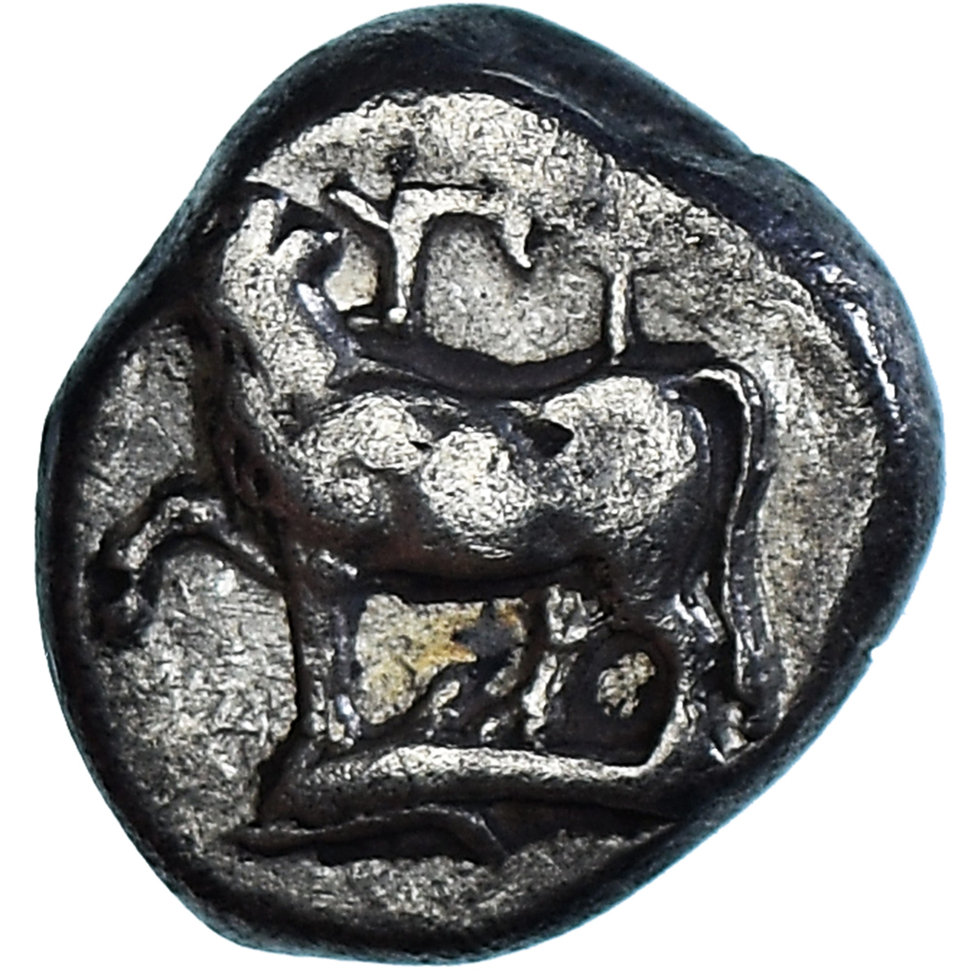 Coin, Thrace, Siglos, ca. 340-320 BC, Byzantium, VF(30-35), Silver