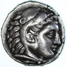 Monnaie, Royaume de Macedoine, Alexandre III, Drachme, 310-301 BC, Colophon