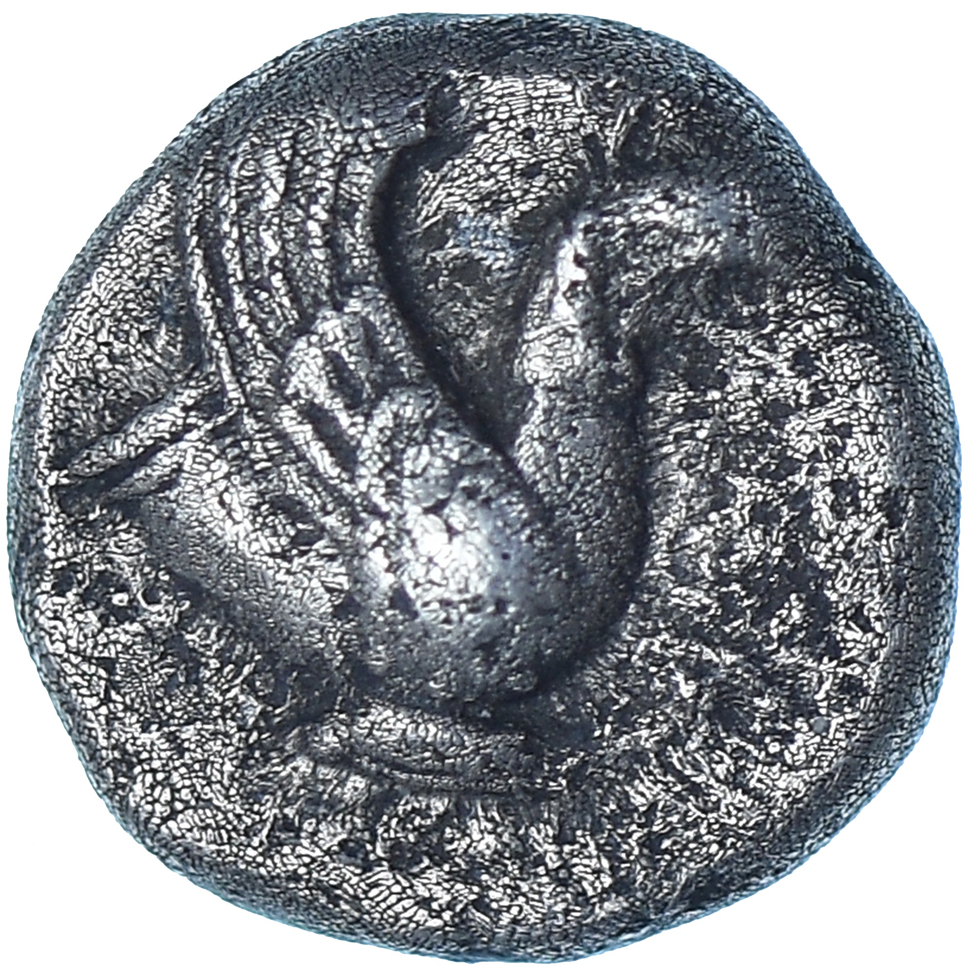 Coin, Ionia, Obol, ca. 510-500 BC, Teos, EF(40-45), Silver