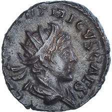 Coin, Tetricus II, Antoninianus, 273-274, Cologne, EF(40-45), Billon, RIC:272