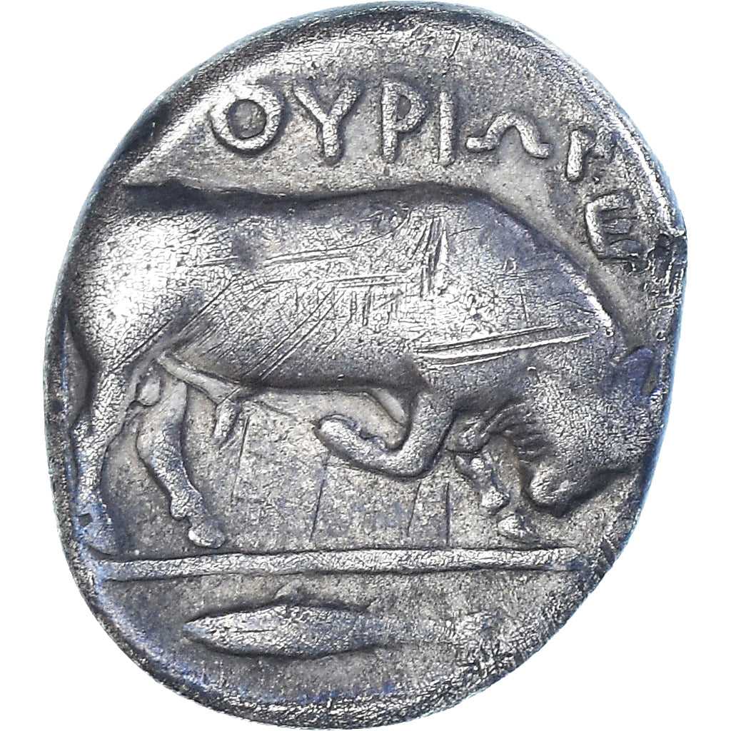 Moneta, Lucania, Stater, ca. 443-400 BC, Thourioi, MB, Argento, HN Italy:1761