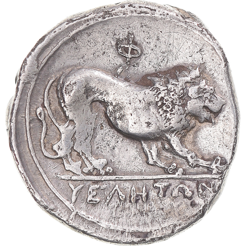 Coin, Lucania, Didrachm, ca. 340-332 BC, Velia, EF(40-45), Silver, HN Italy:1284