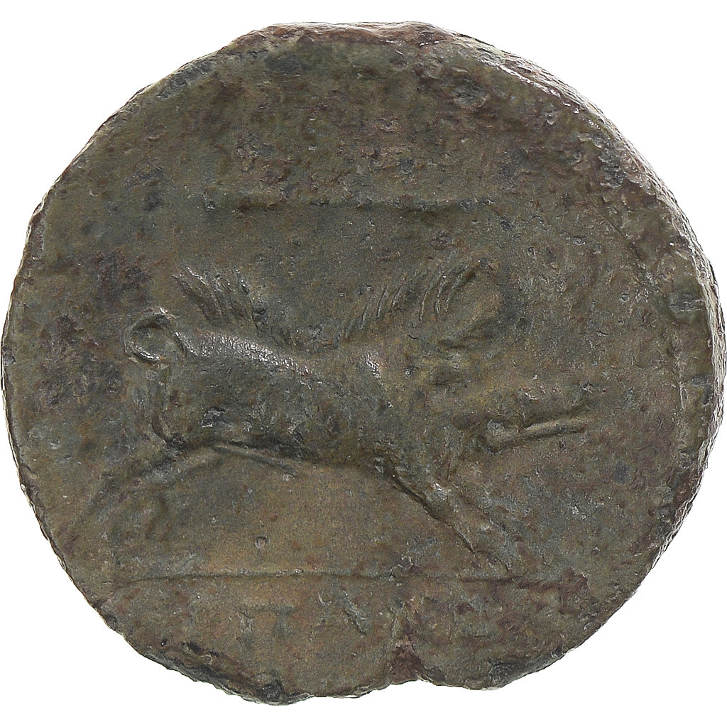 Moneta, Apulia, Æ, ca. 325-275 BC, Arpi, BB+, Bronzo, HN Italy:642