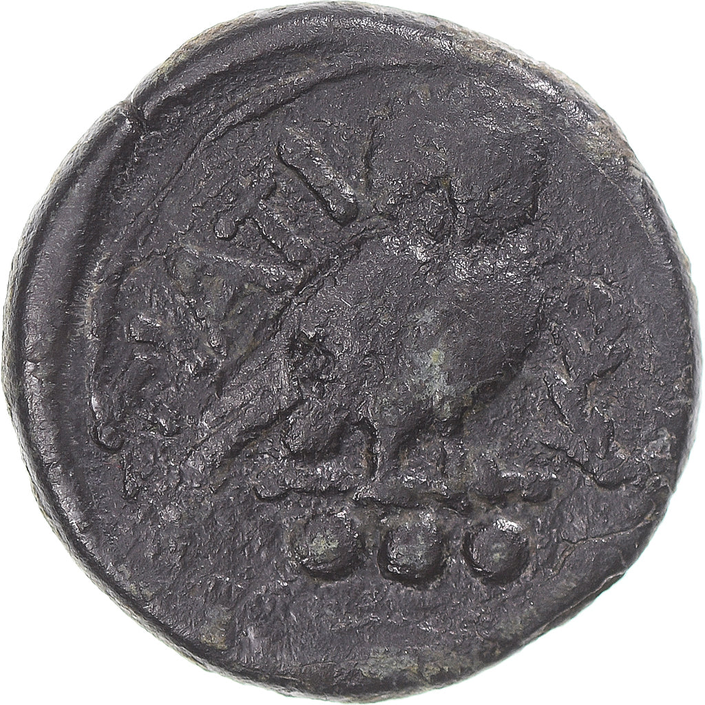 Coin, Apulia, Teruncius, ca. 225-200 BC, Teate, VF(20-25), Bronze, HN Italy:702b
