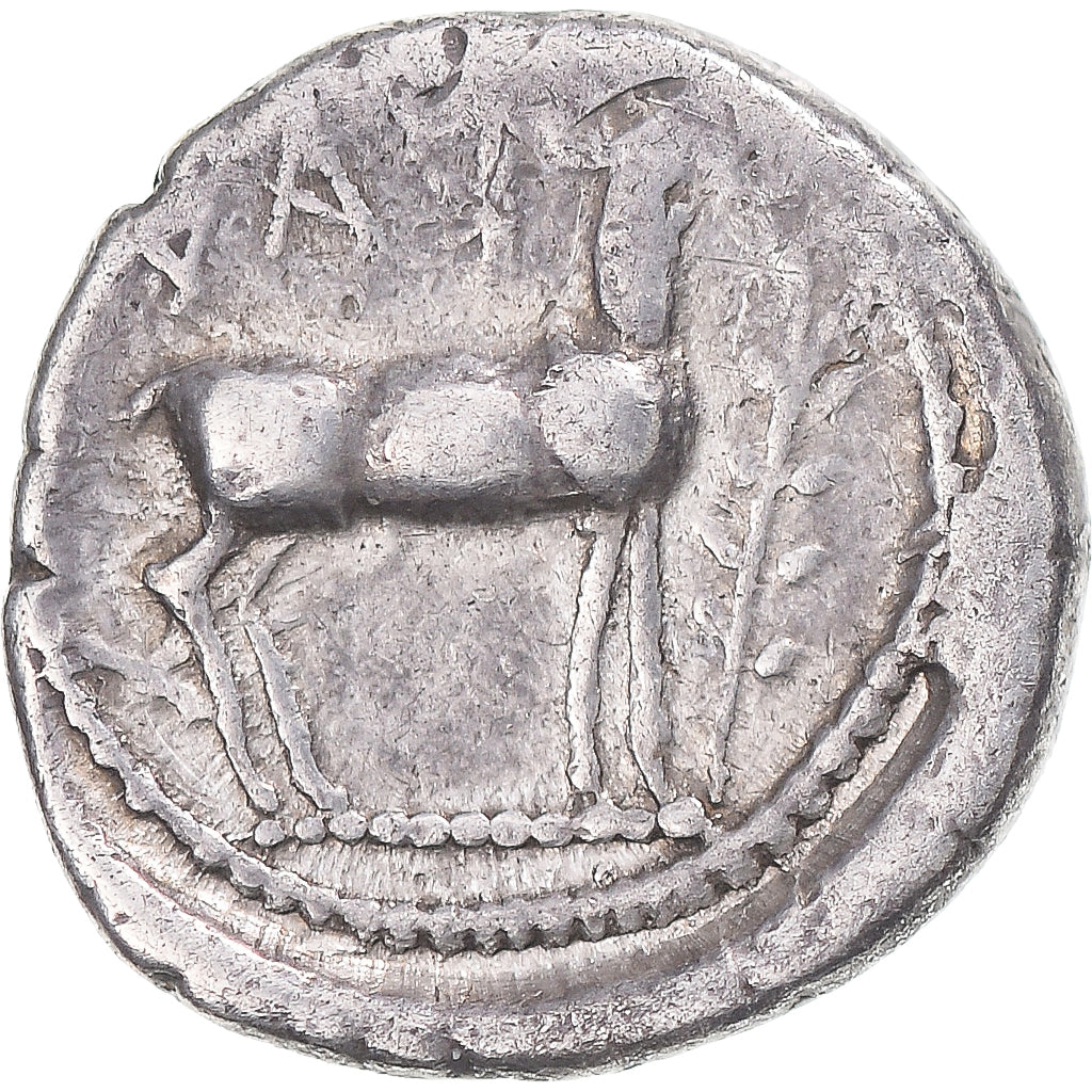 Moneda, Bruttium, Drachm, ca. 475-425 BC, Kaulonia, BC+, Plata, HN Italy:2047