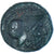 Moeda, Bruttium, Æ, ca. 204-200 BC, Petelia, EF(40-45), Bronze, SNG-ANS:606