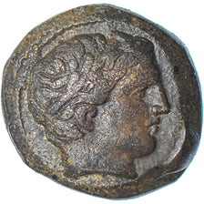 Münze, Kingdom of Macedonia, Philip III, Æ Unit, 323-317 BC, Uncertain Mint