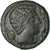 Moneta, Iberia - Iltirta, As, 1st century BC, Lerida, AU(50-53), Brązowy