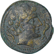 Iberia - Sekaisa, As, 1st century BC, Zaragoza, Bronze, EF(40-45)