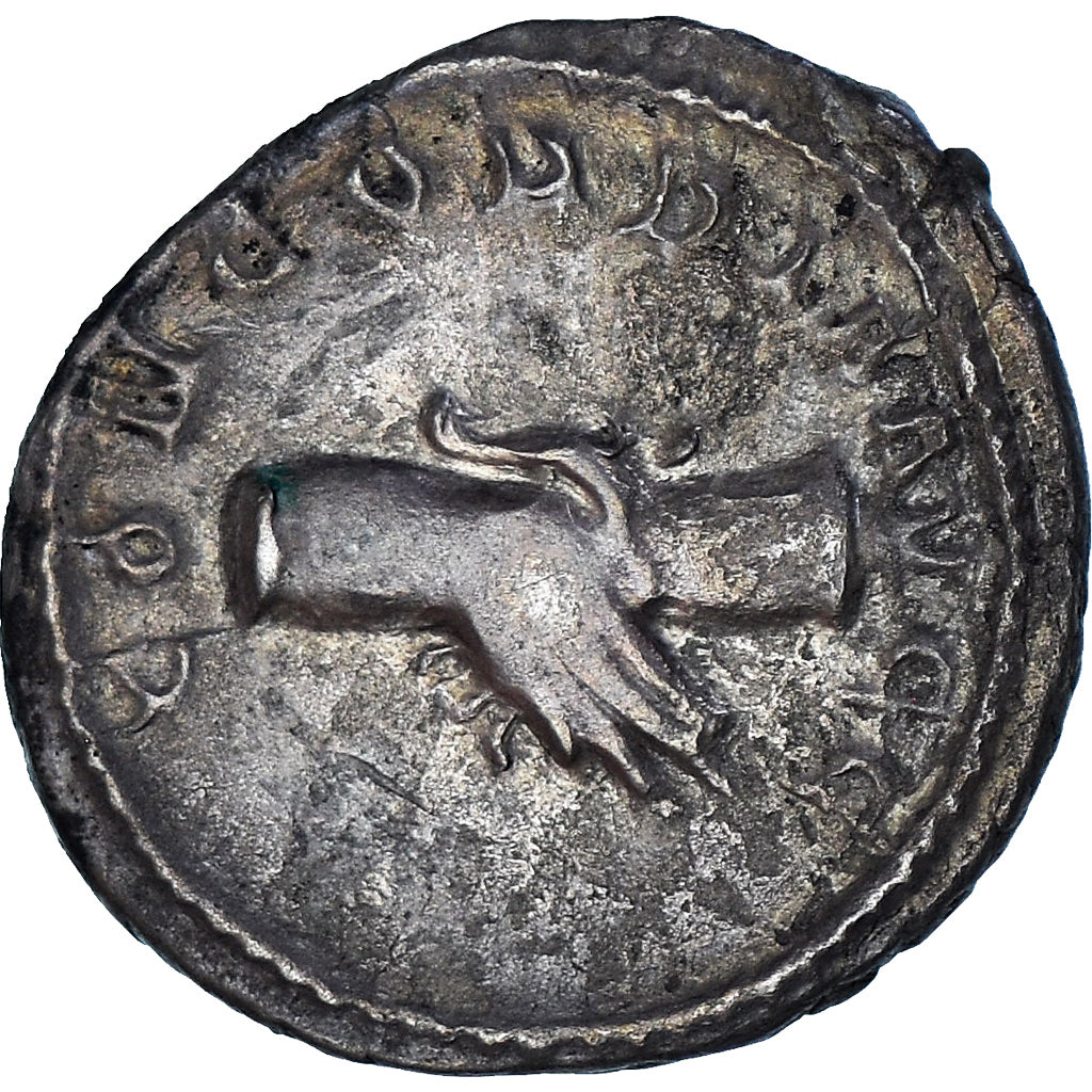 Coin, Herennius Etruscus, Antoninianus, 250-251, Rome, EF(40-45), Billon
