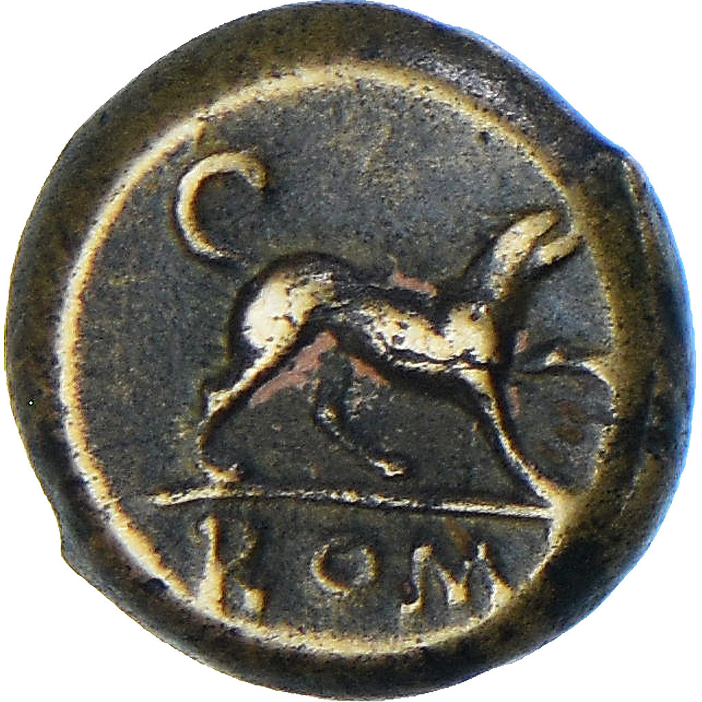 Münze, Anonymous, Hemilitron, 234/231 BC, Rome, SS+, Bronze, Crawford:26/4