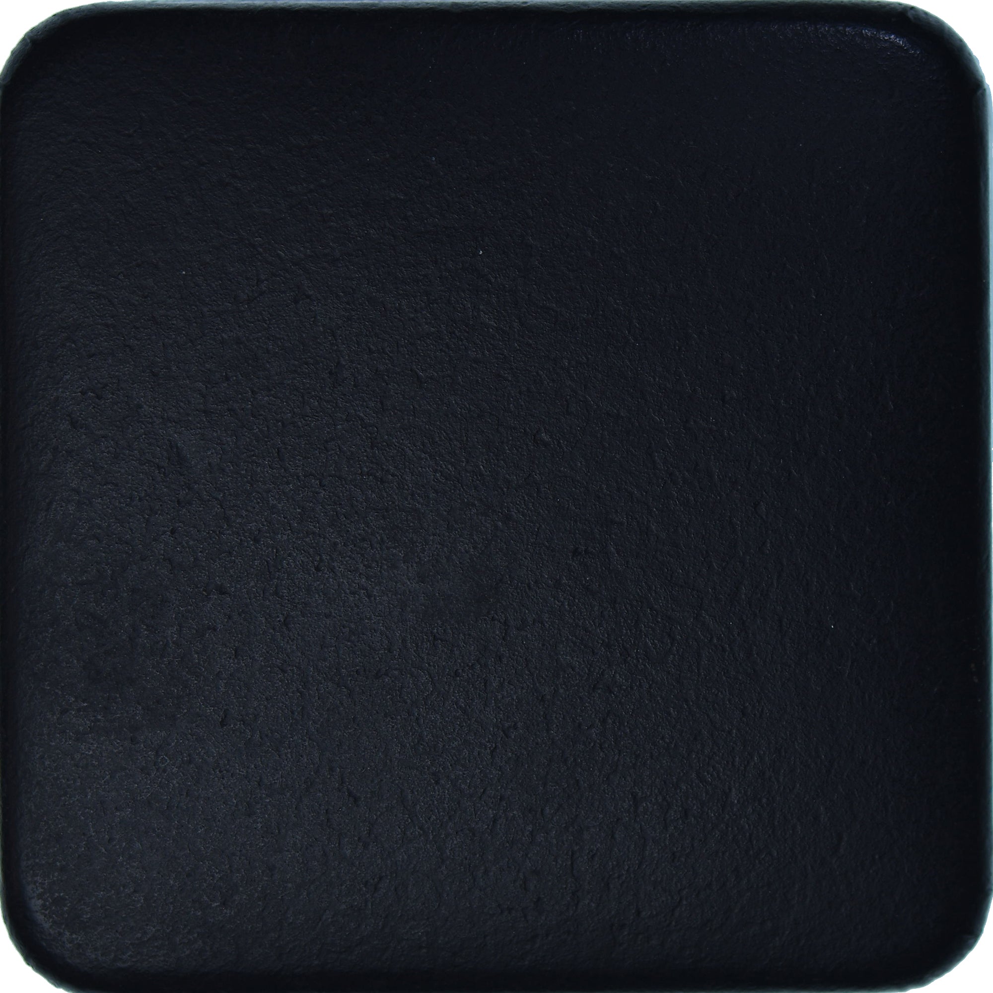 Moneta, Canada, Elizabeth II, Dollar, 1979, Royal Canadian Mint, FDC, Argento