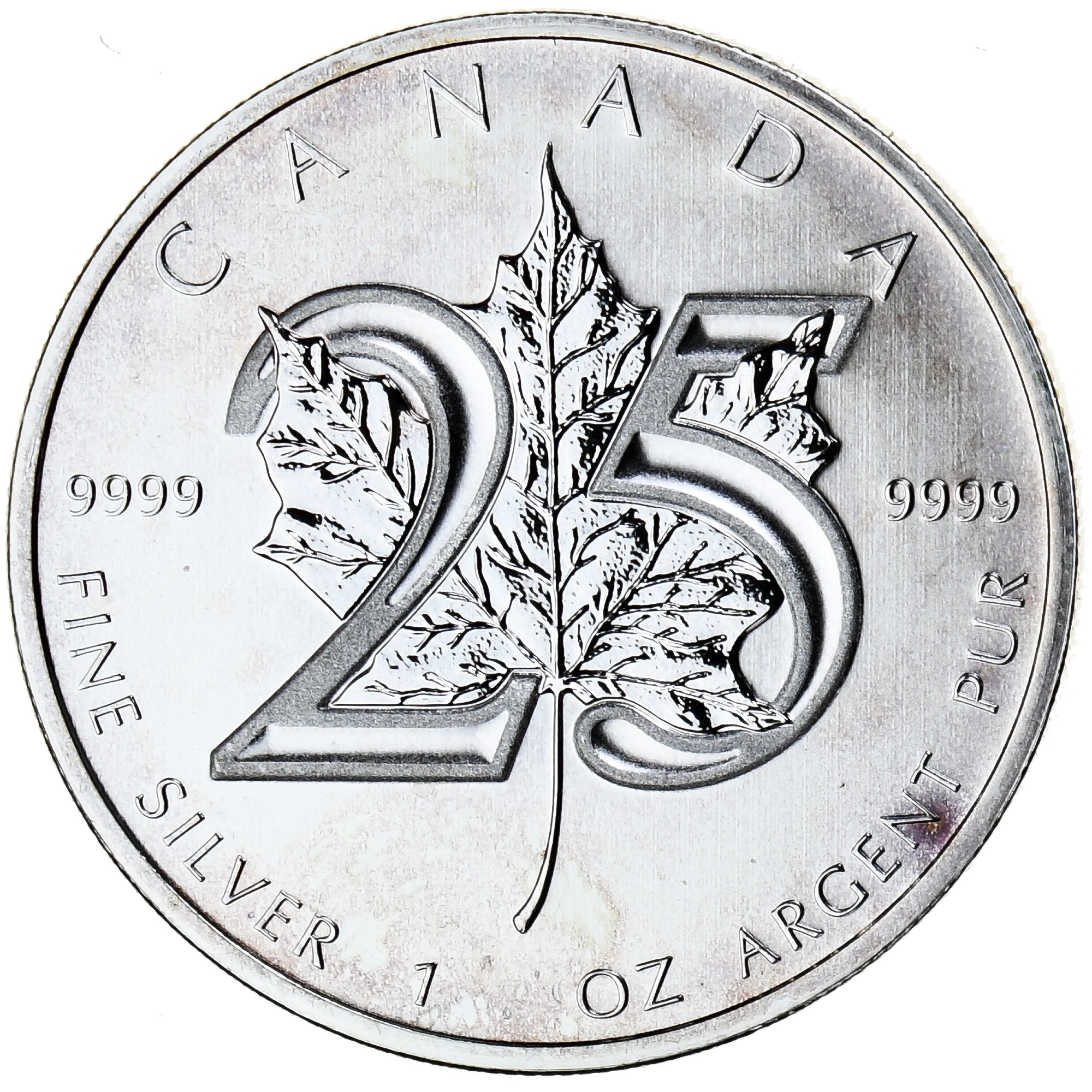 Münze, Kanada, Elizabeth II, Maple Leaf, 5 dollars, 1 oz, 2013, UNZ+, Silber