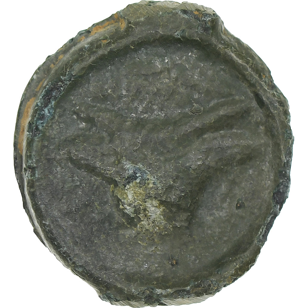 Remi, Potin au bucrane, 1st century BC, S+, Bronze, Delestrée:221