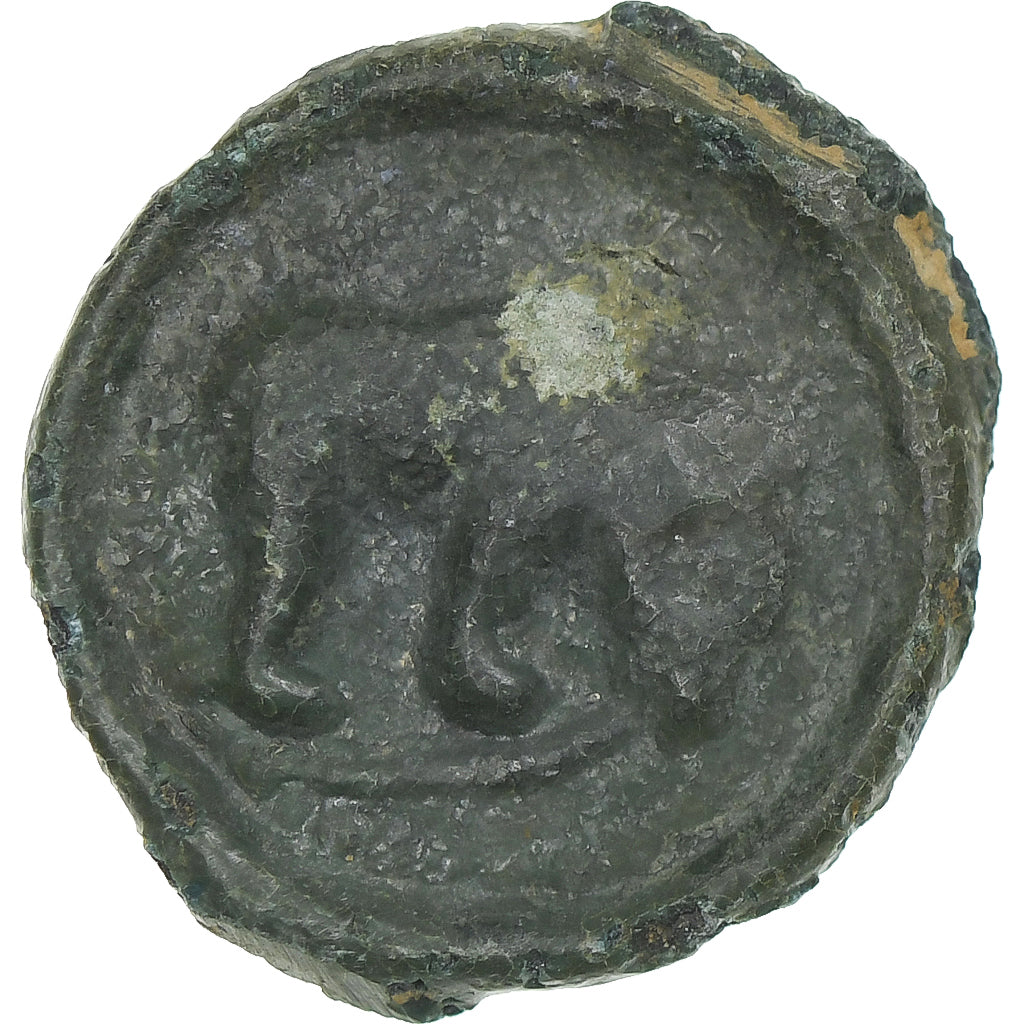 Remi, Potin au bucrane, 1st century BC, S+, Bronze, Delestrée:221