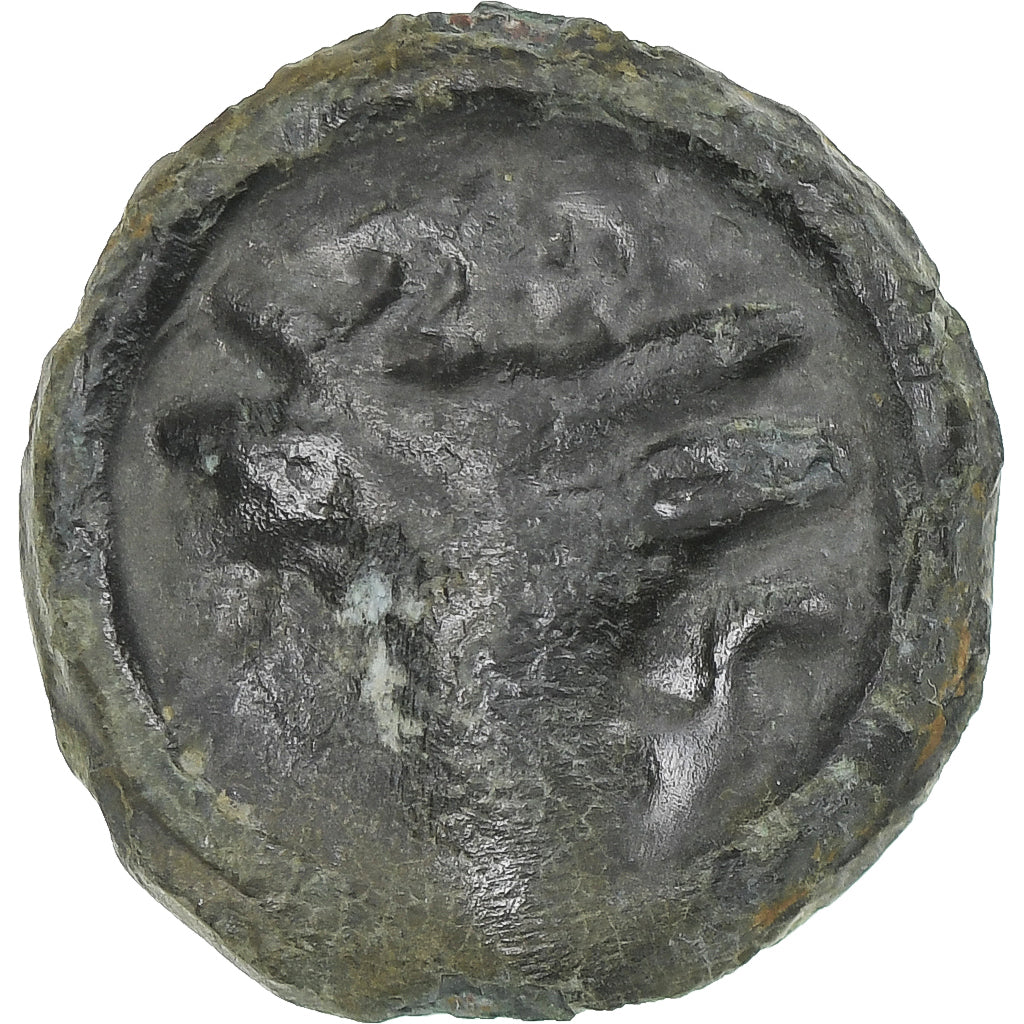 Remi, Potin au bucrane, 1st century BC, S+, Bronze, Delestrée:221