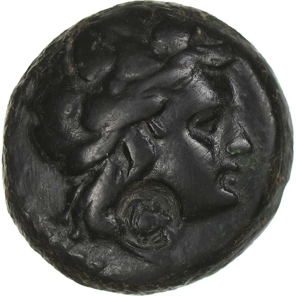 Thrace, Æ, 3è-2nd siècle av. JC, Callatis, TTB, Bronze