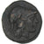 Kingdom of Macedonia, Antigonos Gonatas, Æ, 277/6-239 BC, MBC+, Bronce