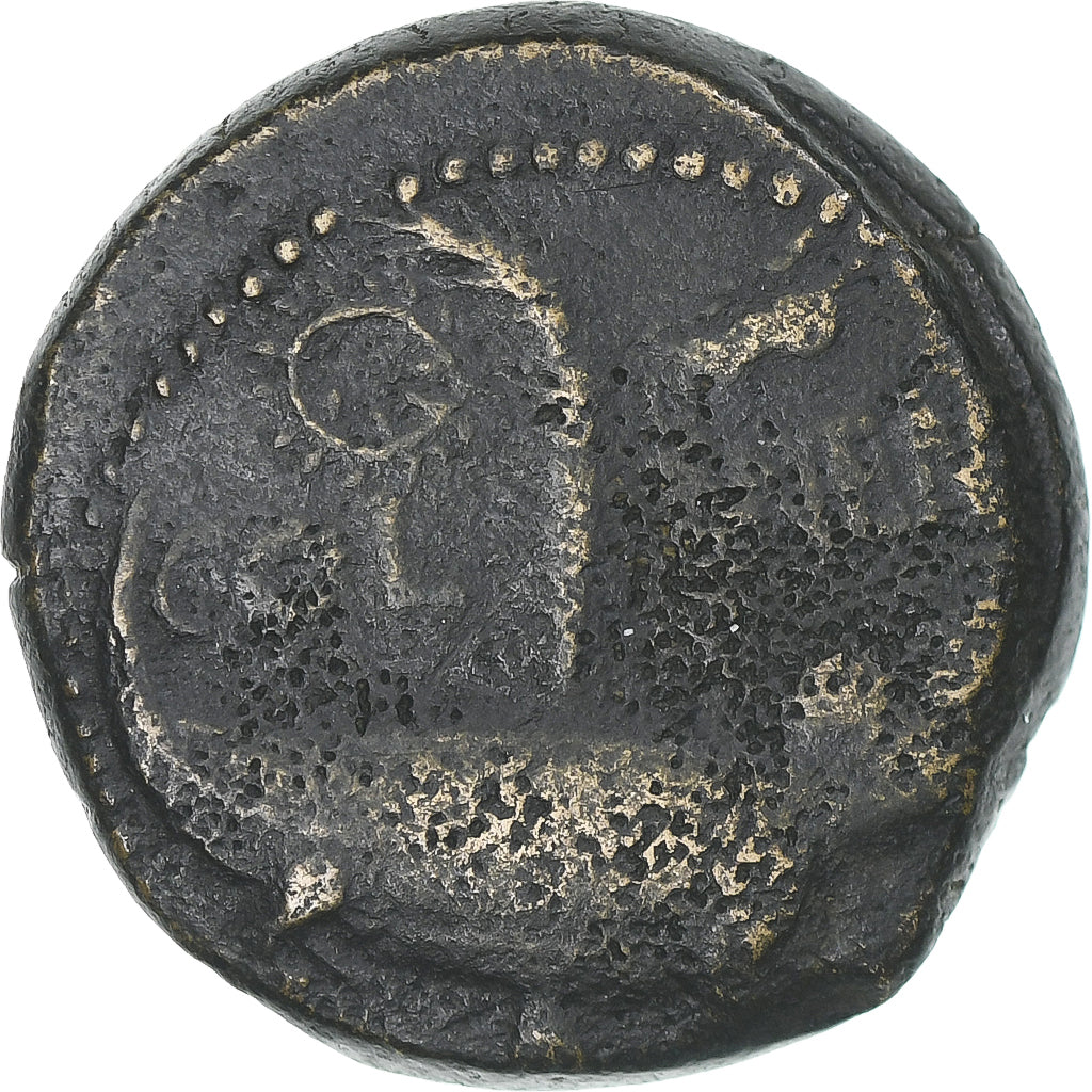 Augustus & Agrippa, Dupondius, 10-14 AD, Nîmes, EF(40-45), Bronze, RIC:159