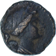 Seleukid Kingdom, Seleukos III Soter, Æ, 225/4-222 BC, Antiochia ad Orontem