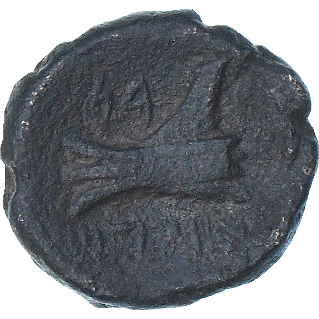 Phénicie, Æ, ca. 137-51 BC, Arados, TB+, Bronze